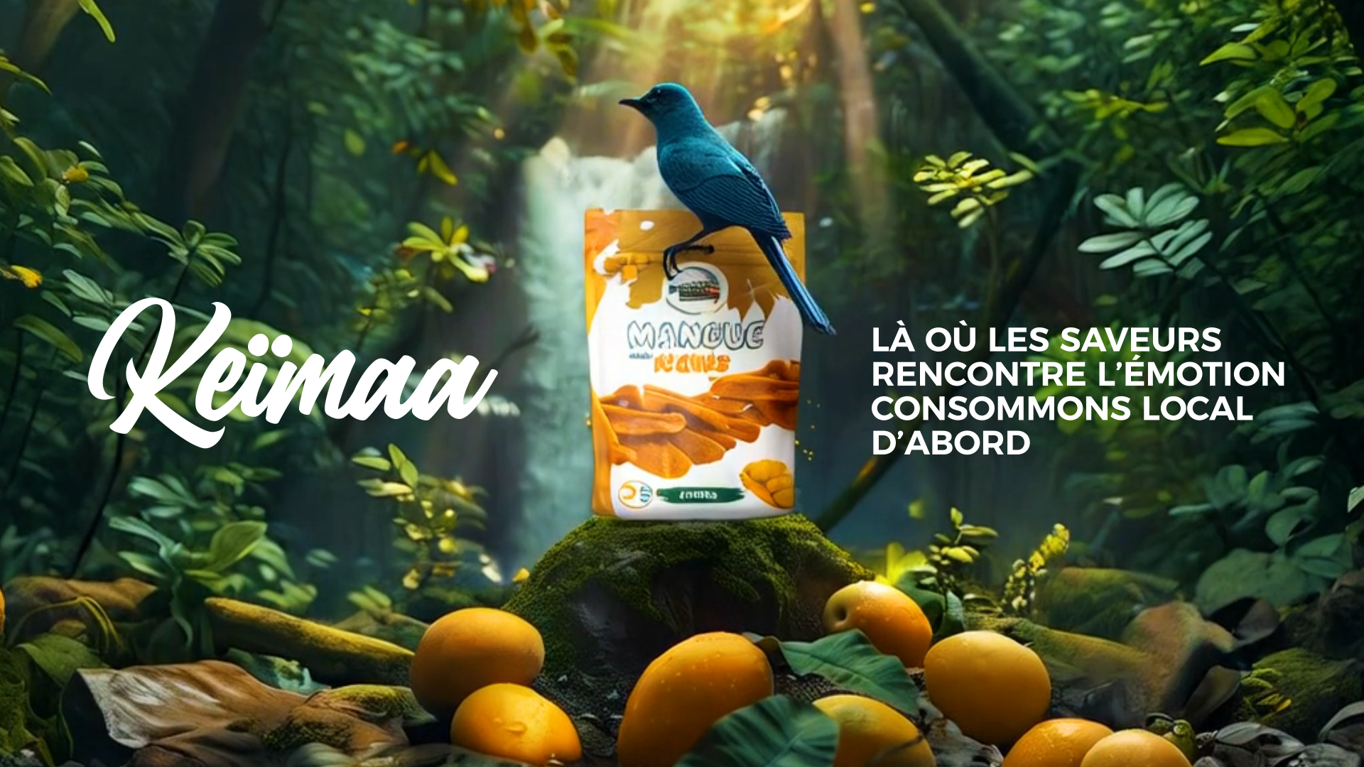 Charger la vidéo : 